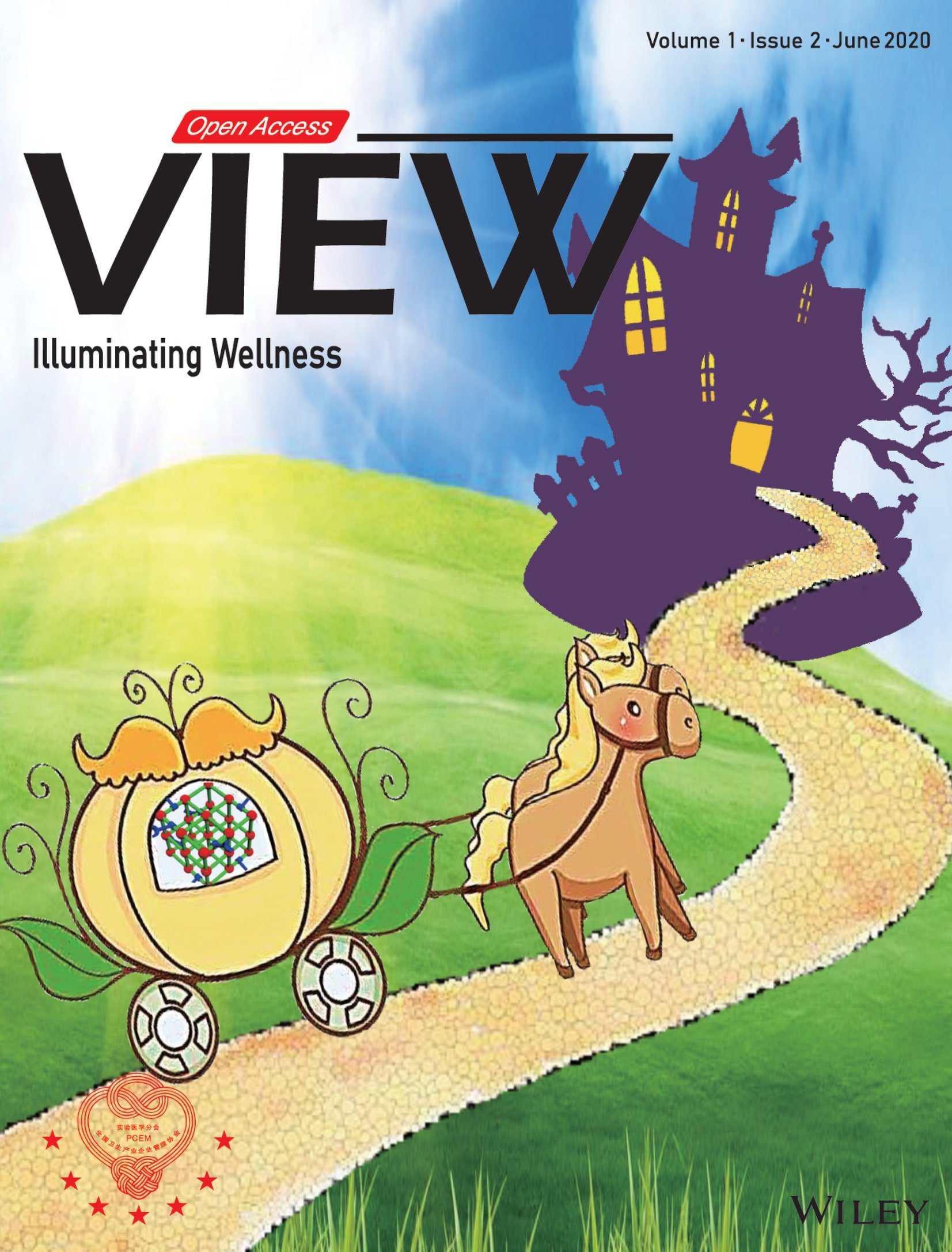View v1i2 Cover